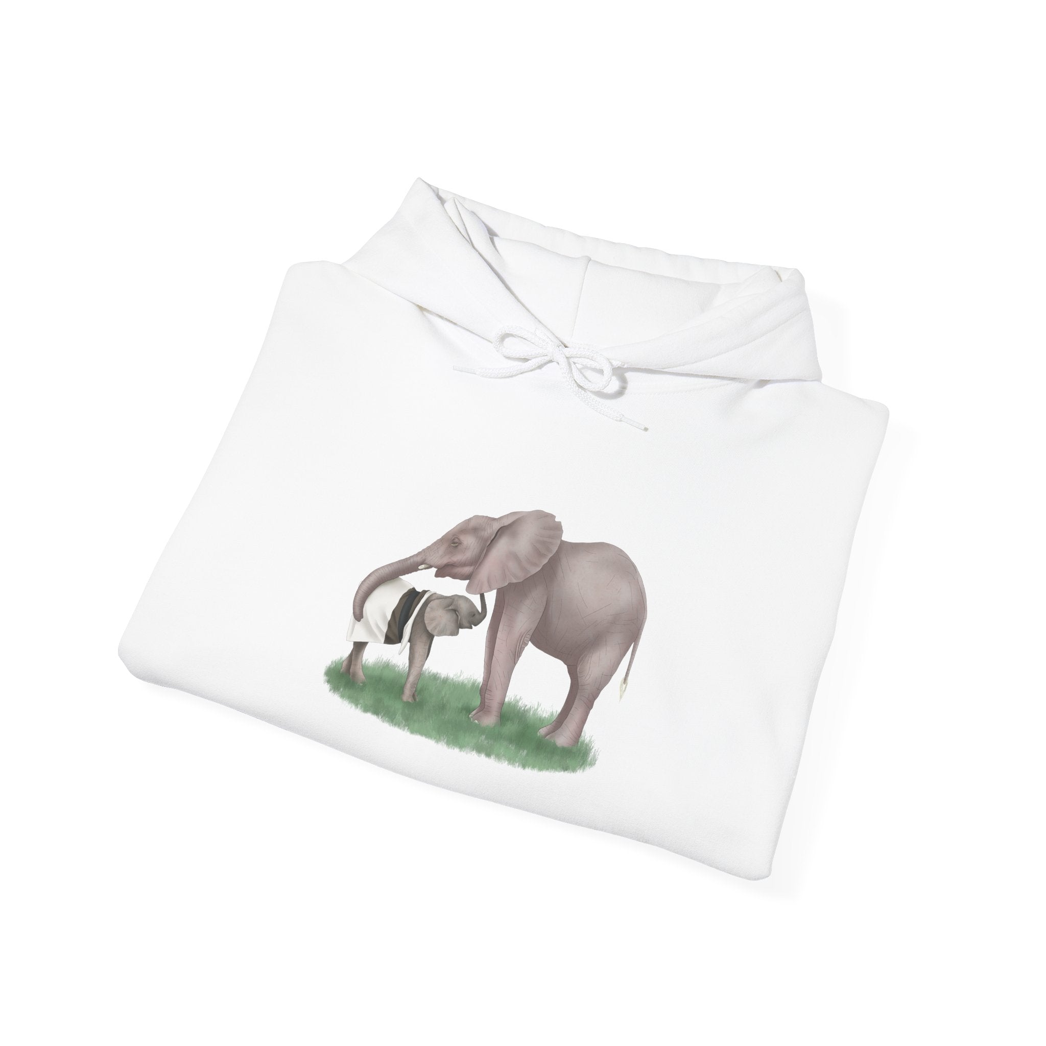 Phabeni & Khanyisa Unisex Heavy Blend™ Hooded Sweatshirt