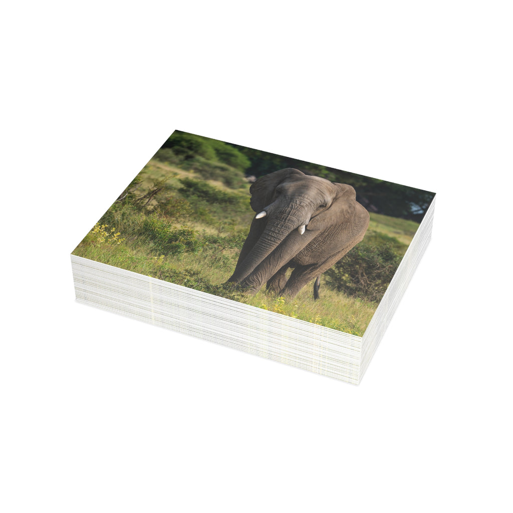 Jabulani Postcards (with envelopes) 10's