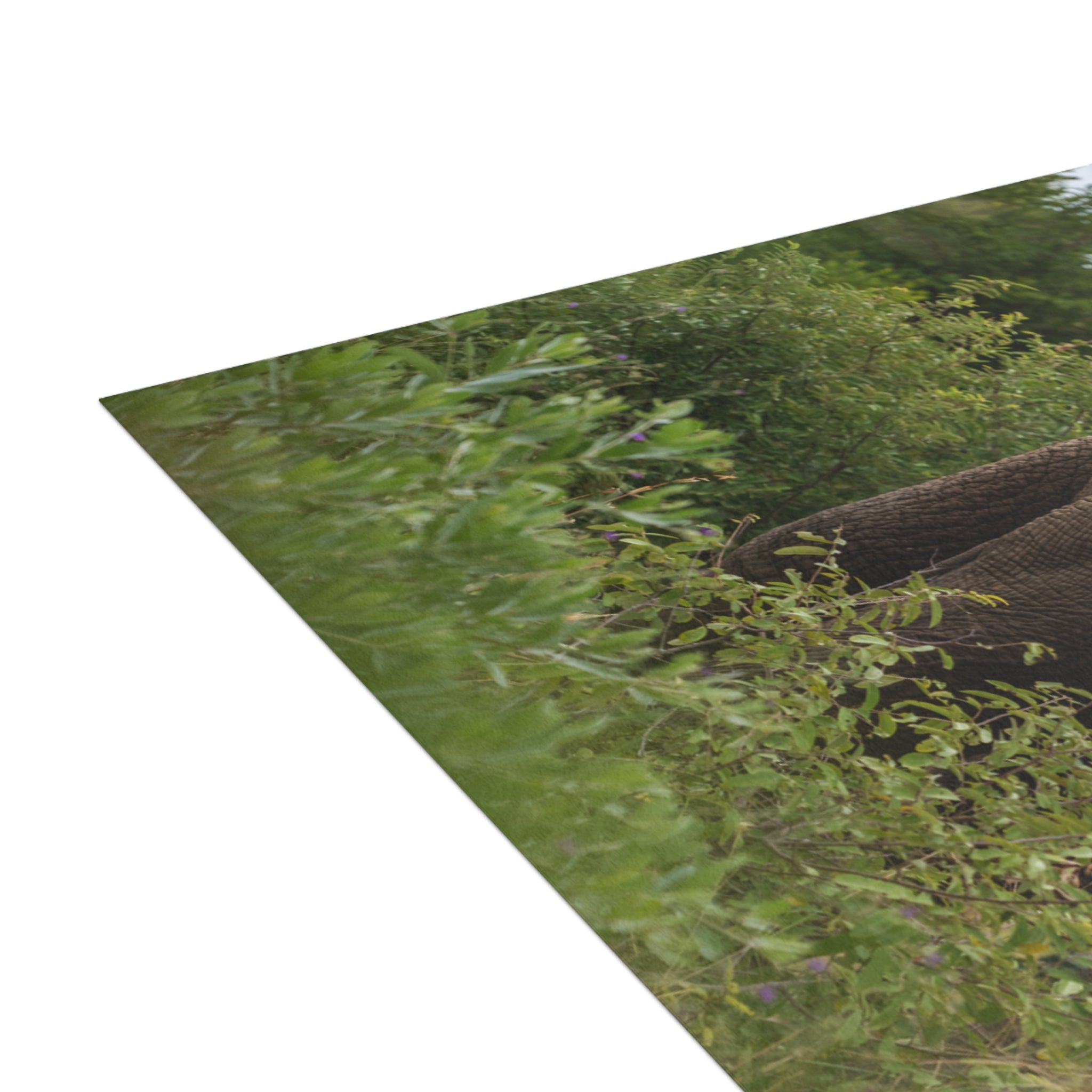 Zindoga Postcards (with envelopes) 10's