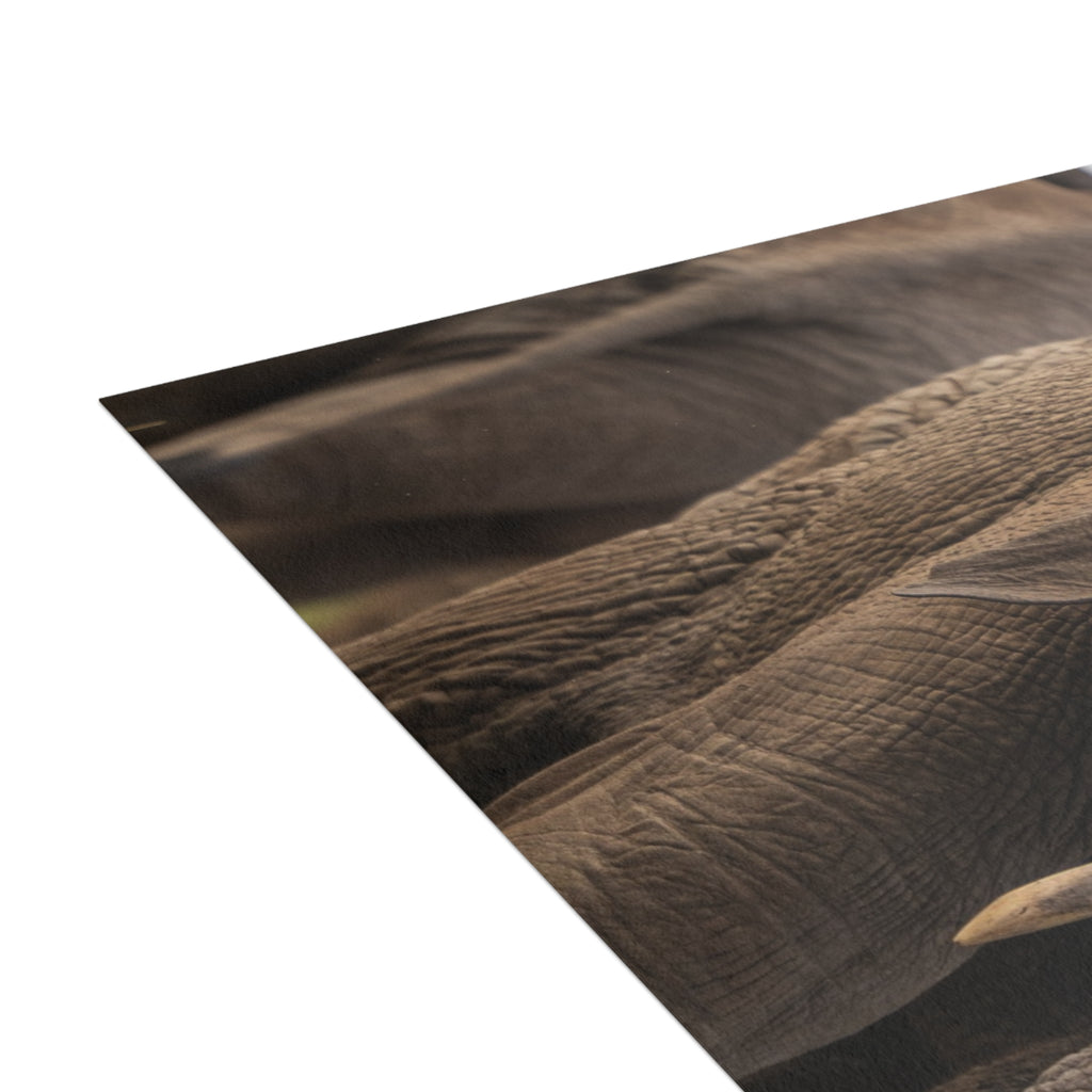 Timisa Postcards (with envelopes) 10's