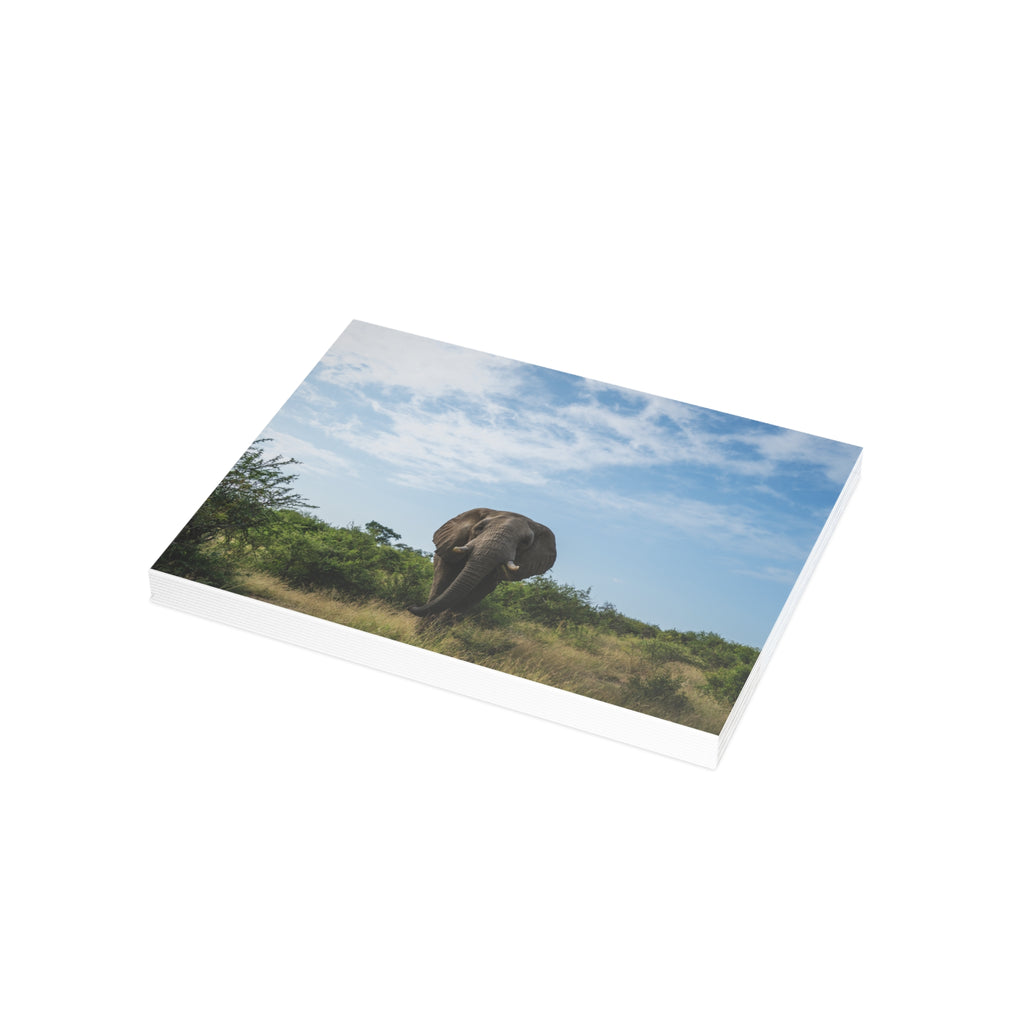 Fishan Postcards (with envelopes) 10's