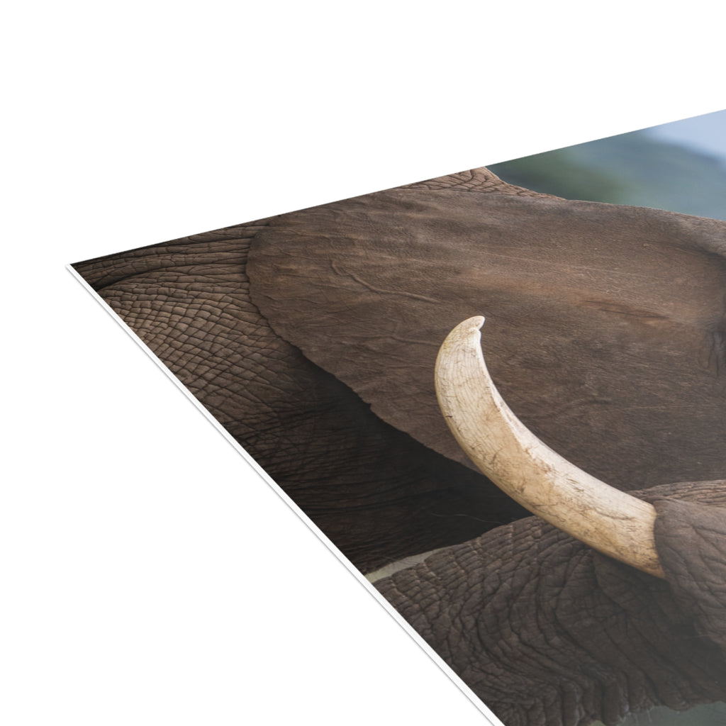 Sebakwe & Setombe Postcards (with envelopes) 10's