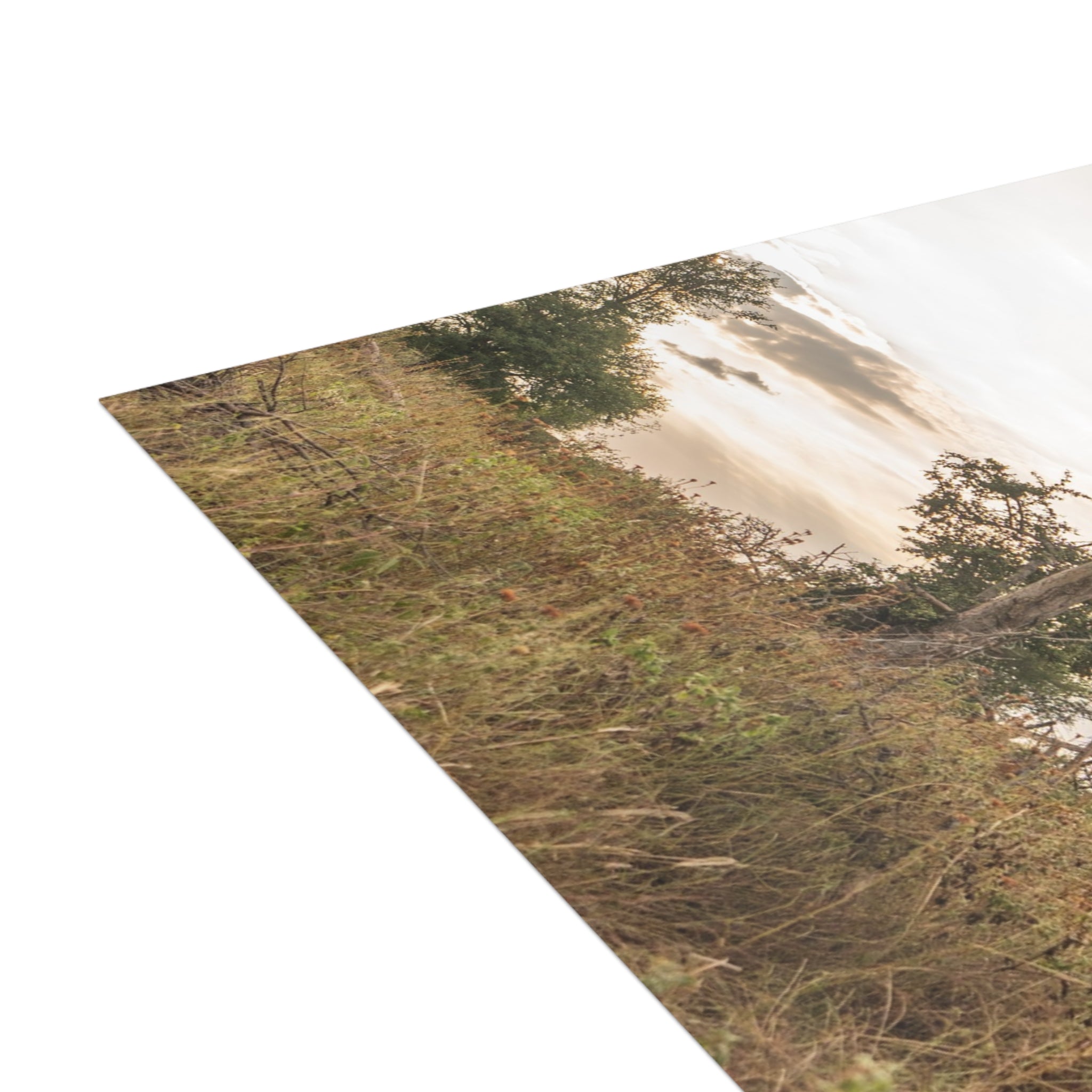 Jabulani Postcards (with envelopes) 10's