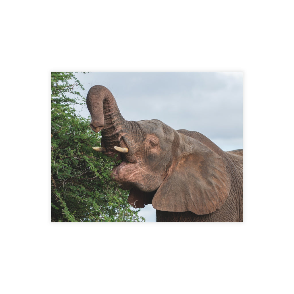 Khanyisa Postcards (with envelopes) 10's