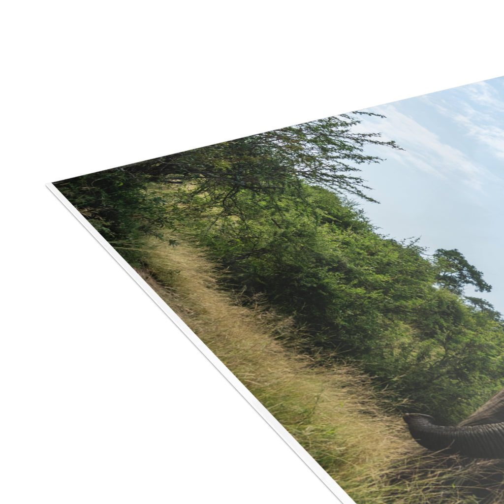 Fishan Postcards (with envelopes) 10's