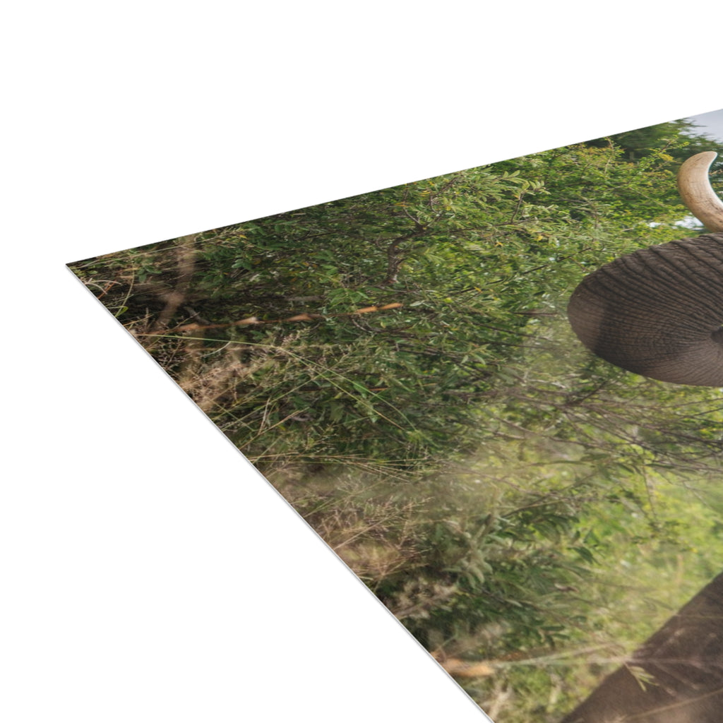 Sebakwe Postcards (with envelopes) 10's