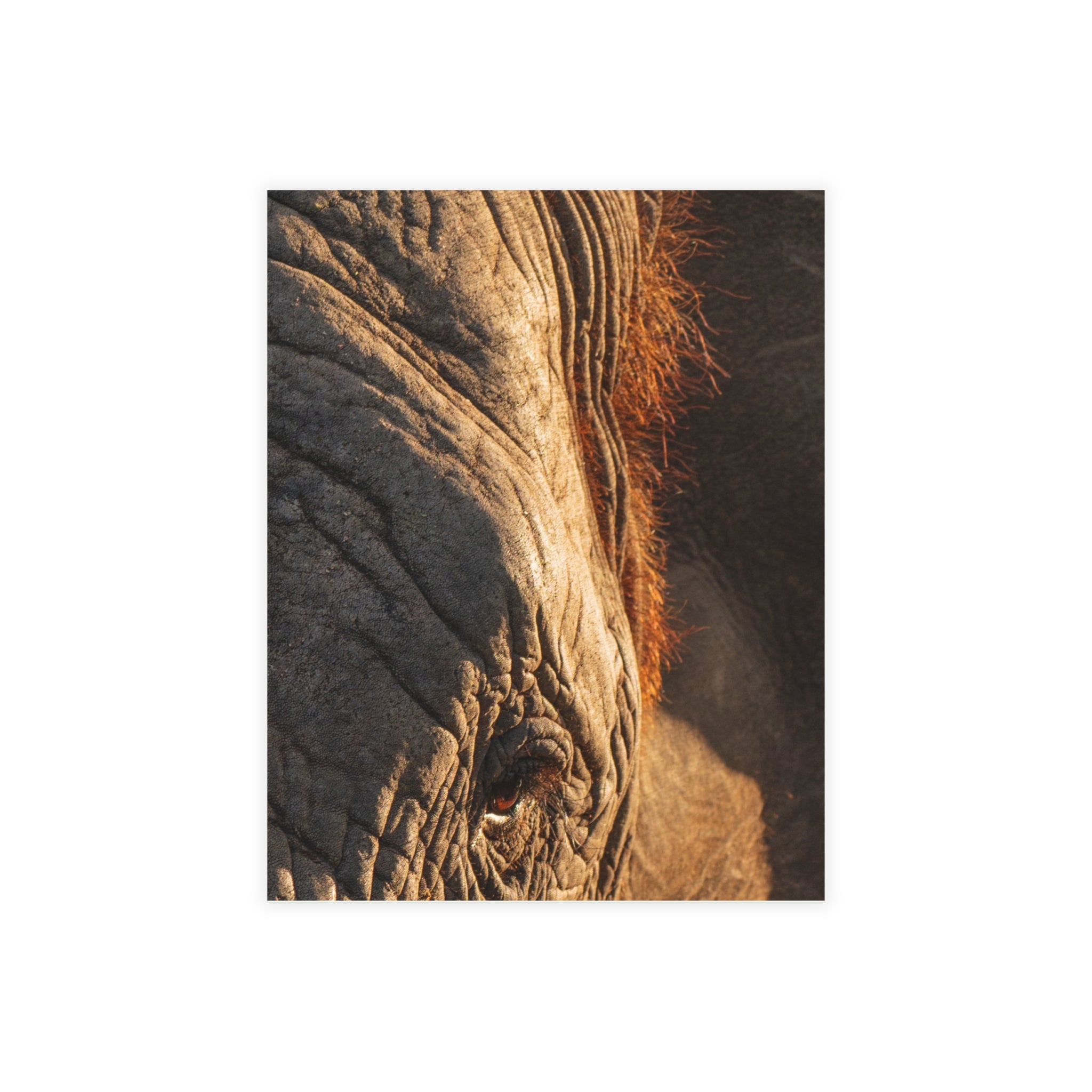 Klaserie Postcards (with envelopes) 10's