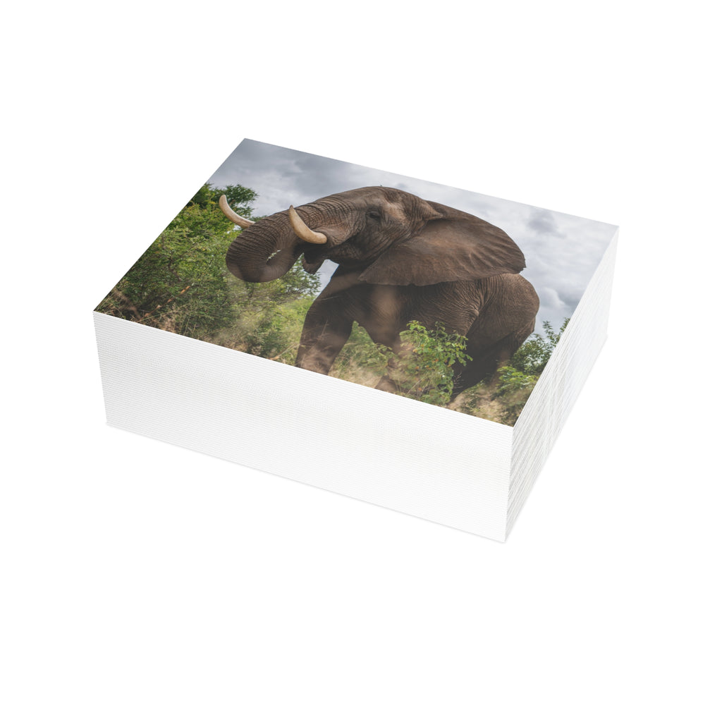 Sebakwe Postcards (with envelopes) 10's