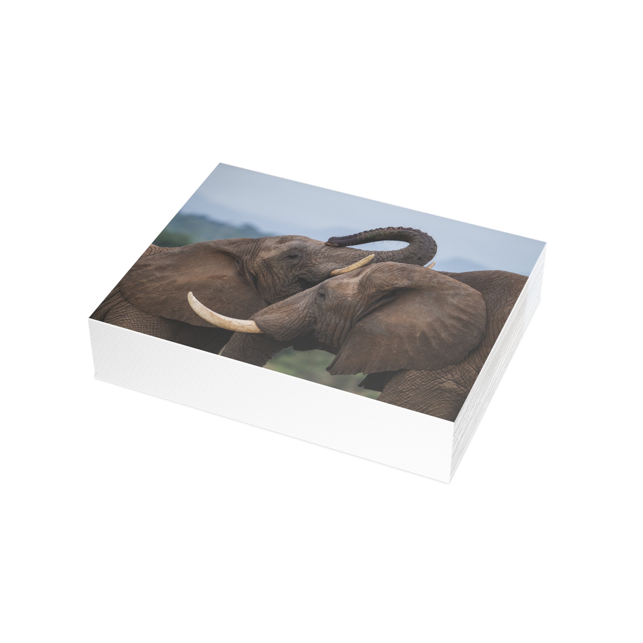 Sebakwe & Setombe Postcards (with envelopes) 10's