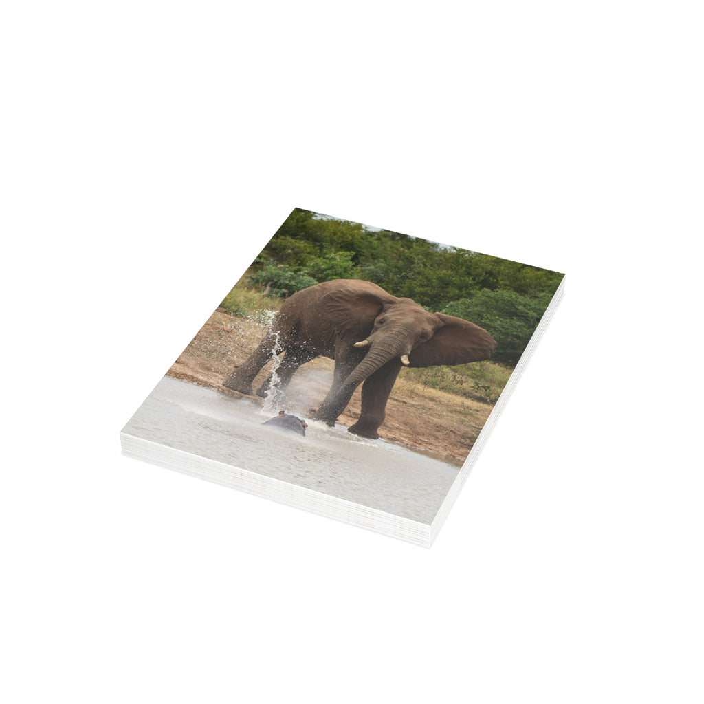 Fishan Postcards (with envelopes) 10's