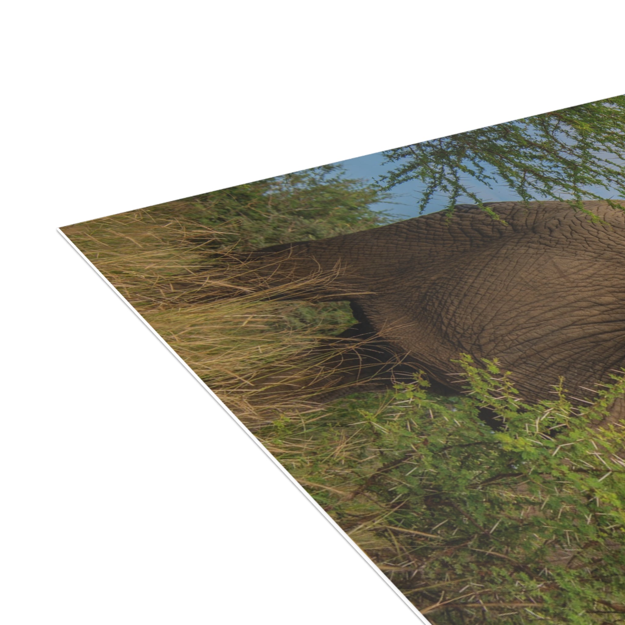 Lundi Postcards (with envelopes) 10's