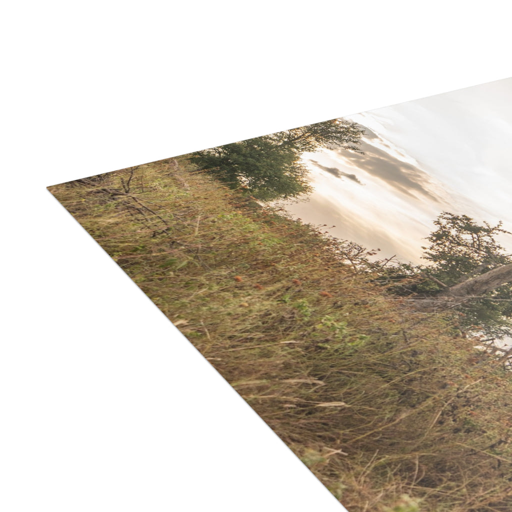 Jabulani Postcards (with envelopes) 10's