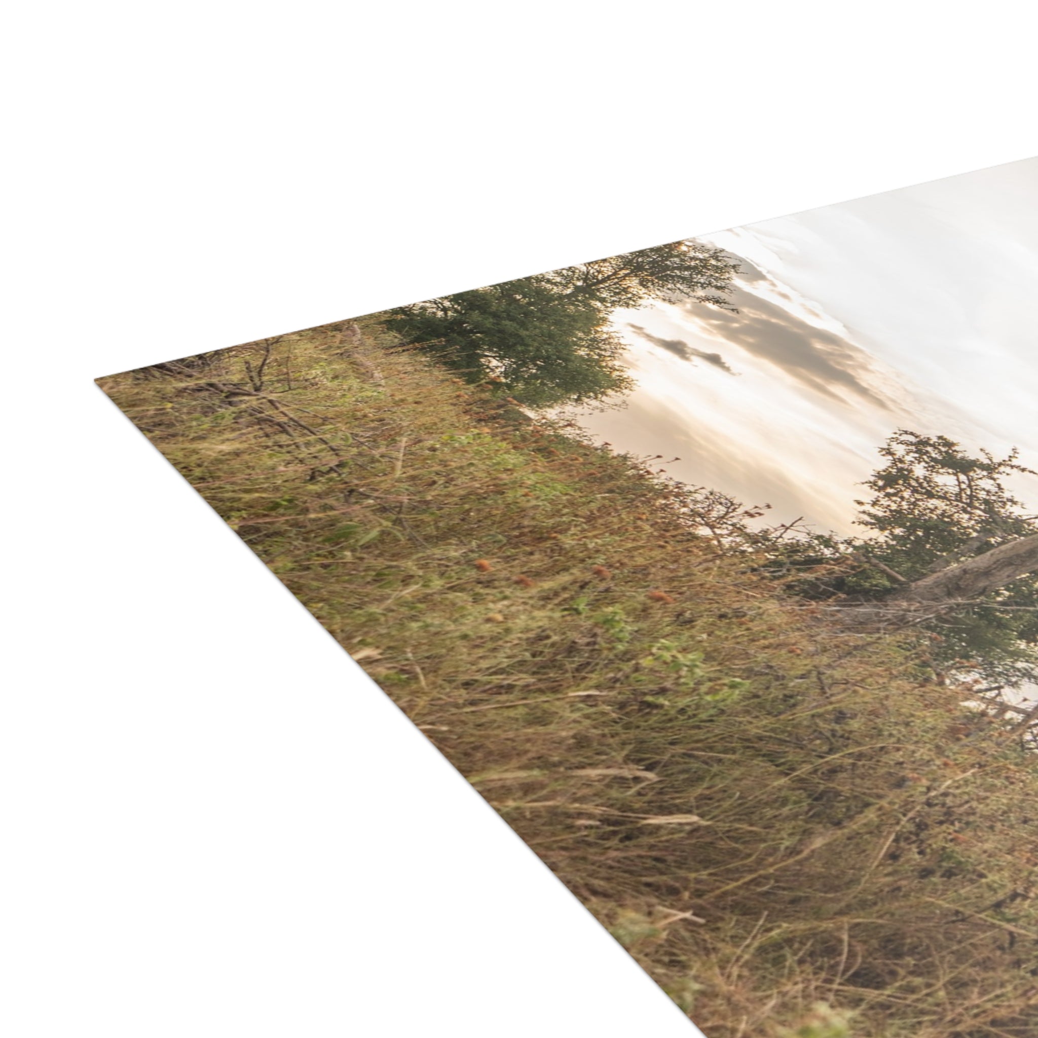 Jabulani Postcards (with envelopes) 10's