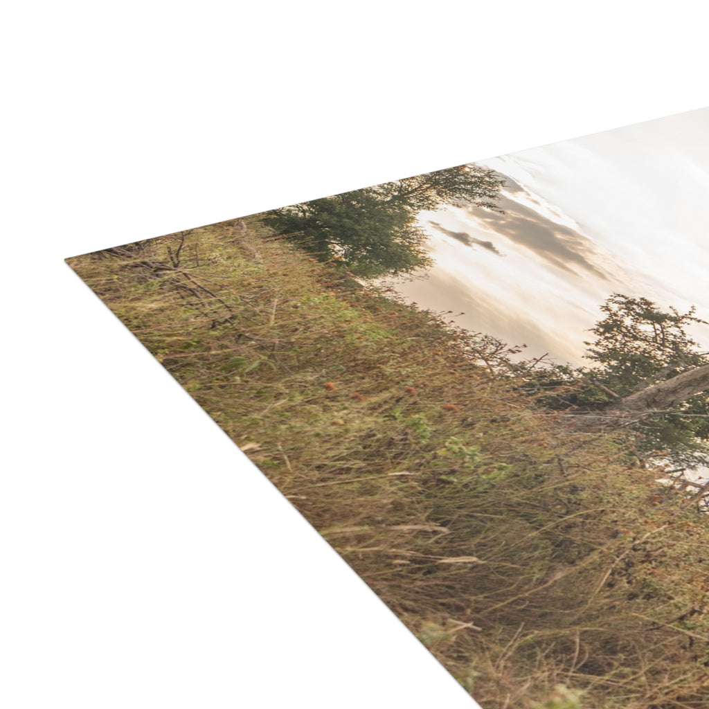 Jabulani Postcards (with envelopes) 10's