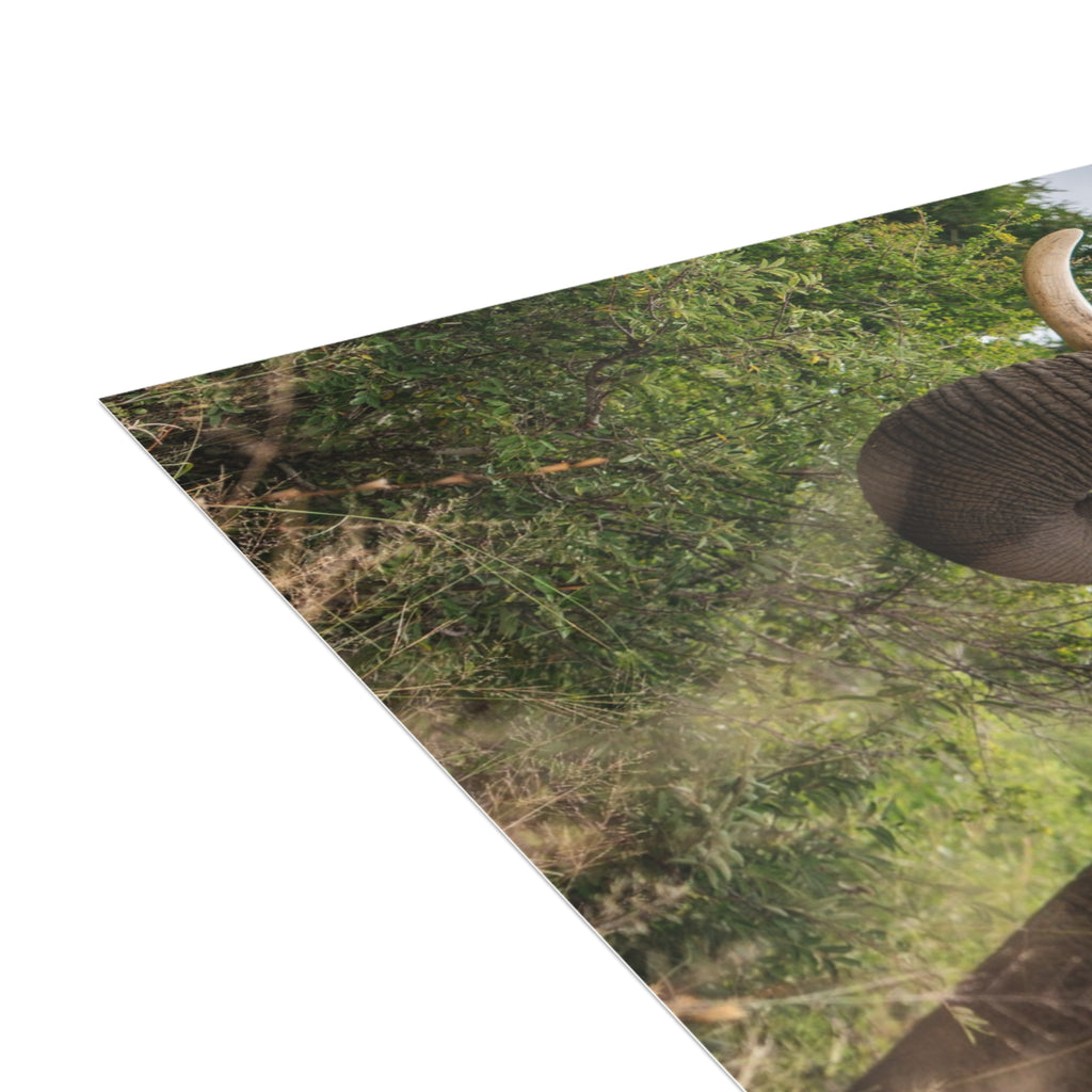 Sebakwe Postcards (with envelopes) 10's