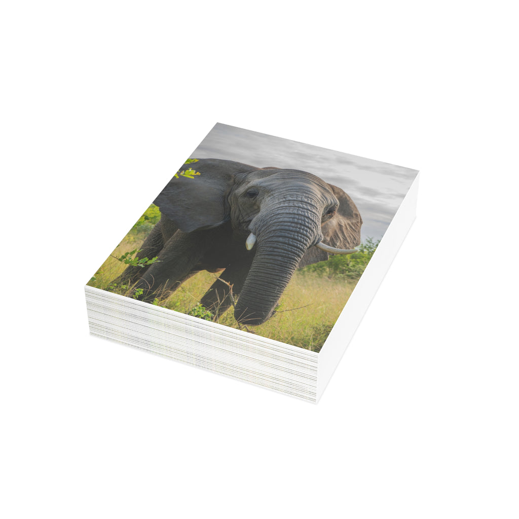 Bubi Postcards (with envelopes) 10's