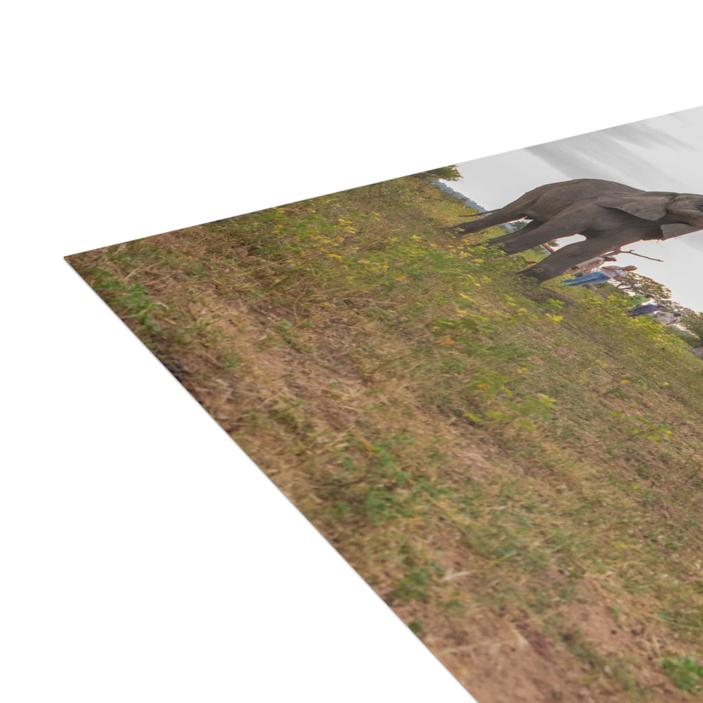 Tokwe Postcards (with envelopes) 10's