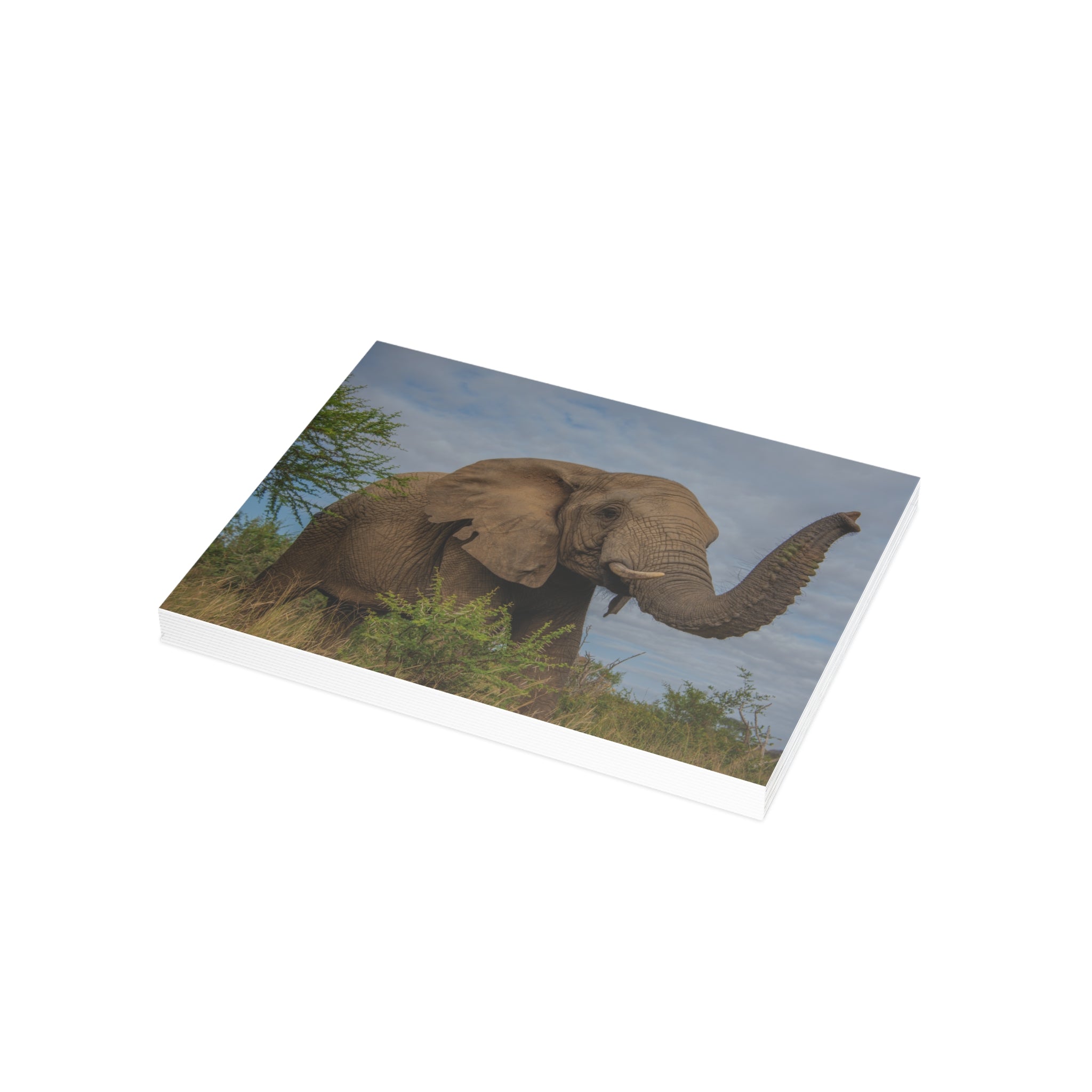 Lundi Postcards (with envelopes) 10's