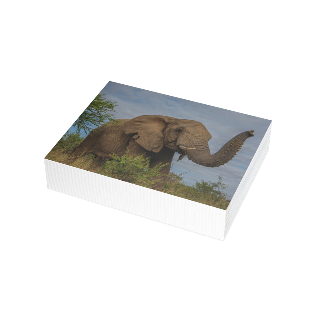 Lundi Postcards (with envelopes) 10's