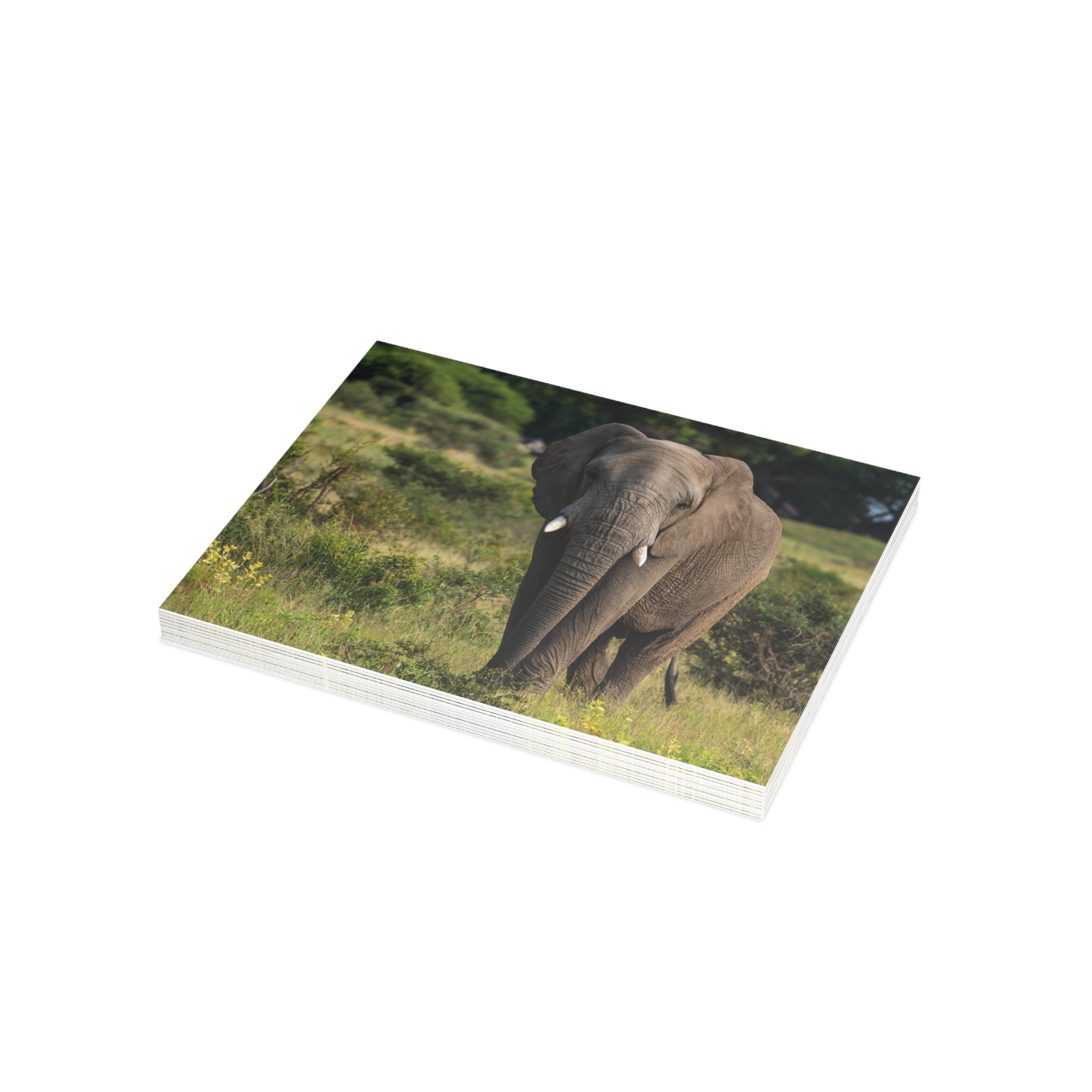 Jabulani Postcards (with envelopes) 10's