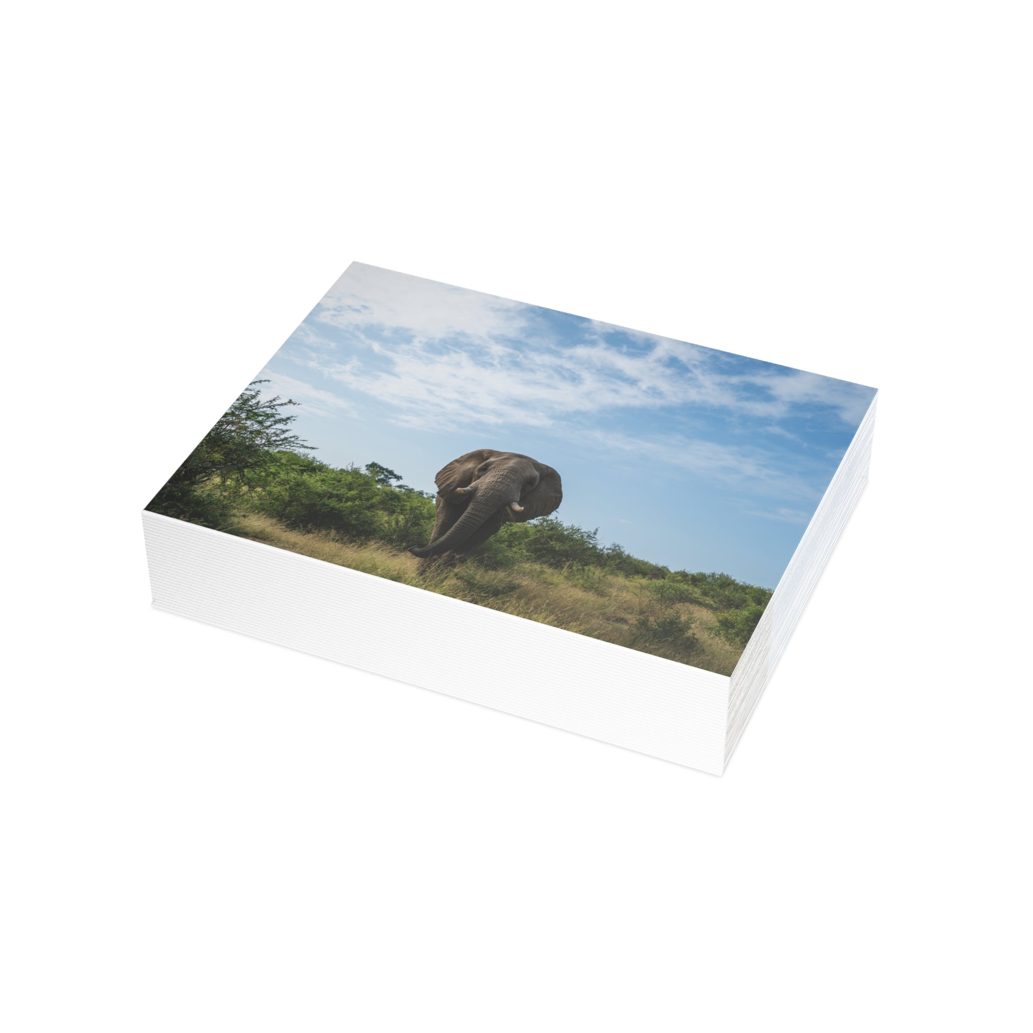 Fishan Postcards (with envelopes) 10's