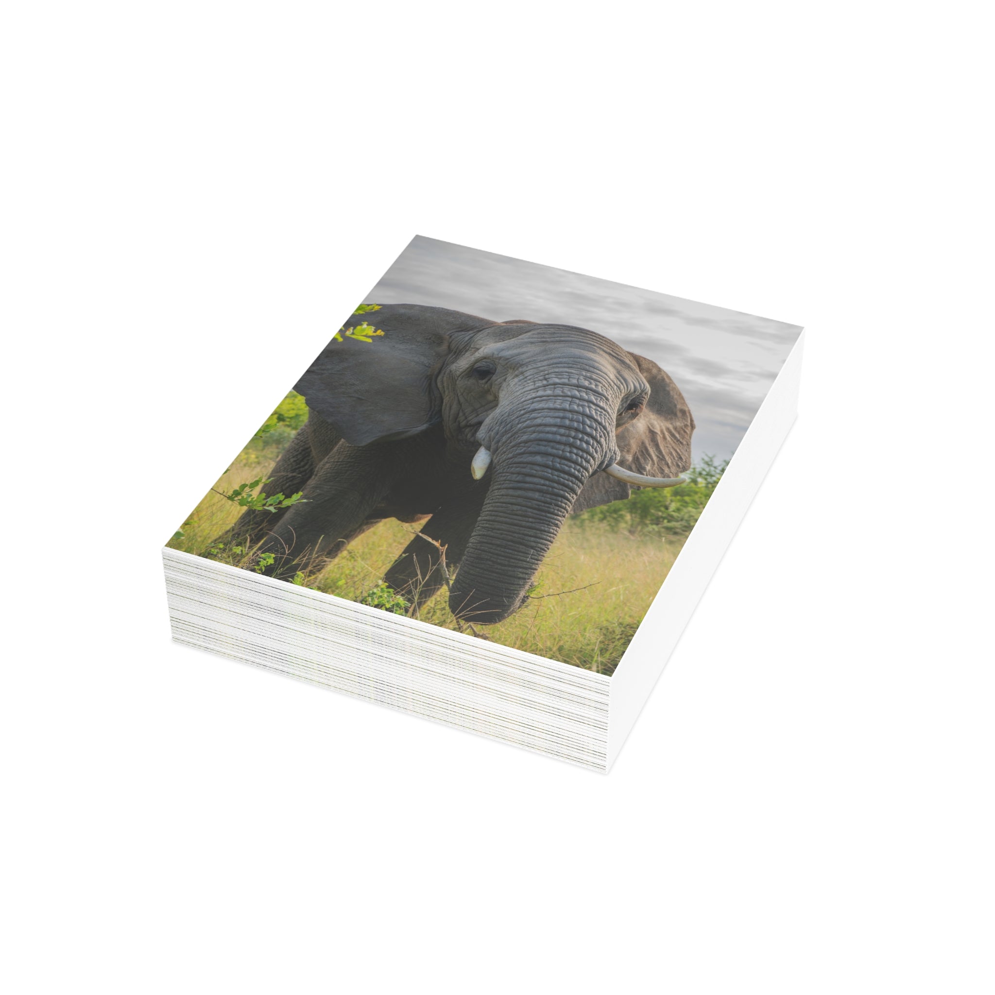 Bubi Postcards (with envelopes) 10's