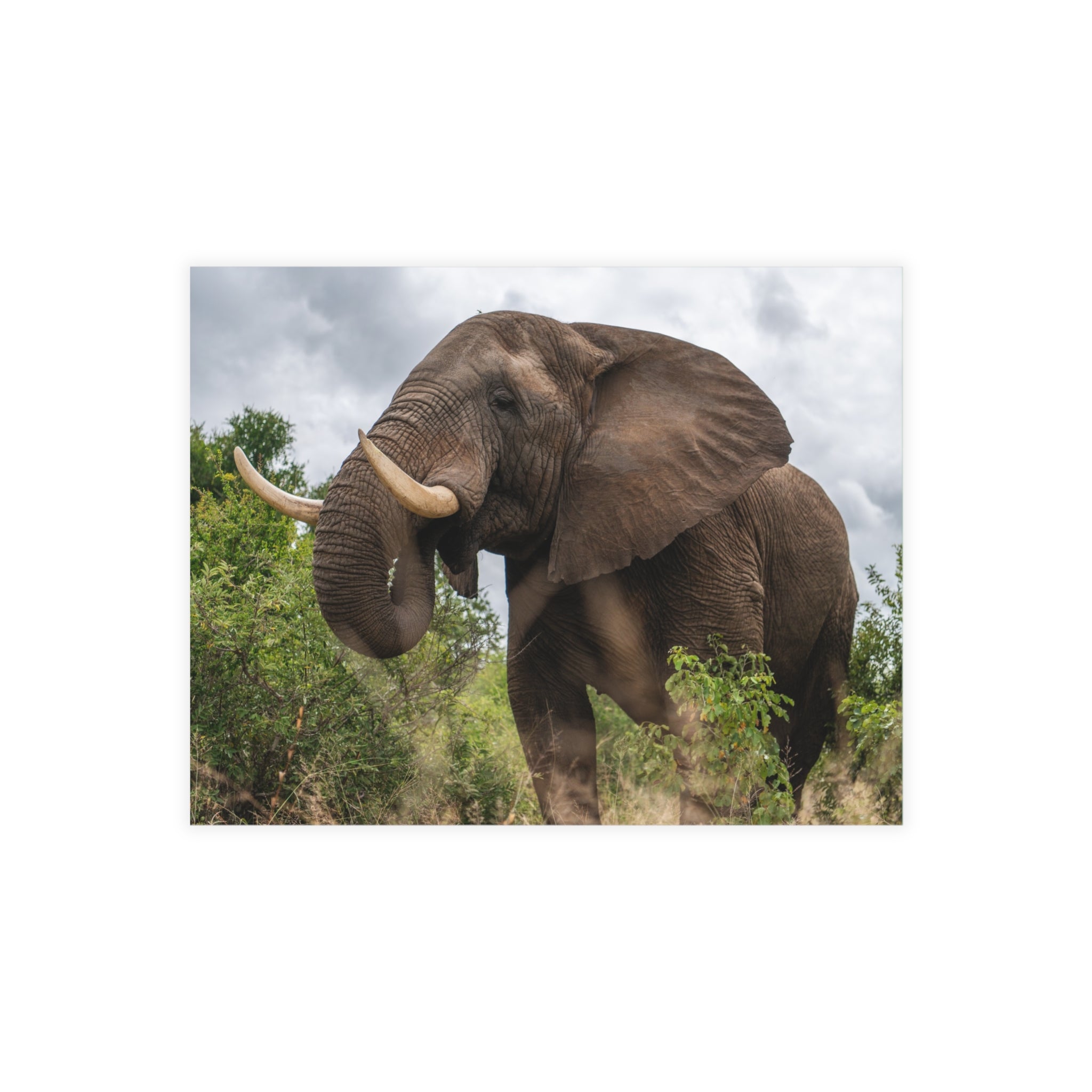 Sebakwe Postcards (with envelopes) 10's