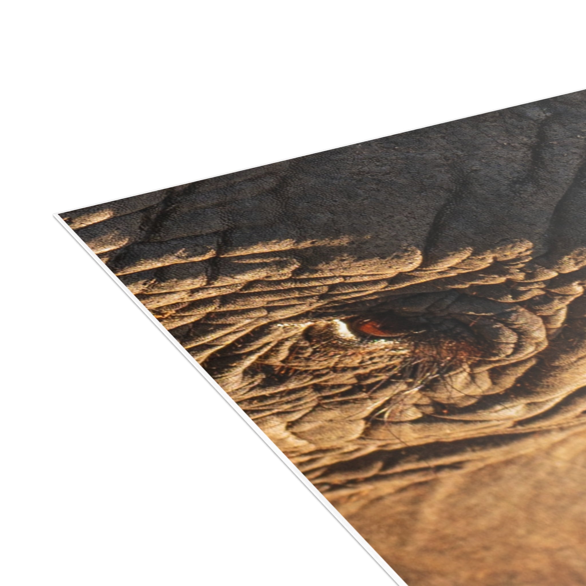 Klaserie Postcards (with envelopes) 10's