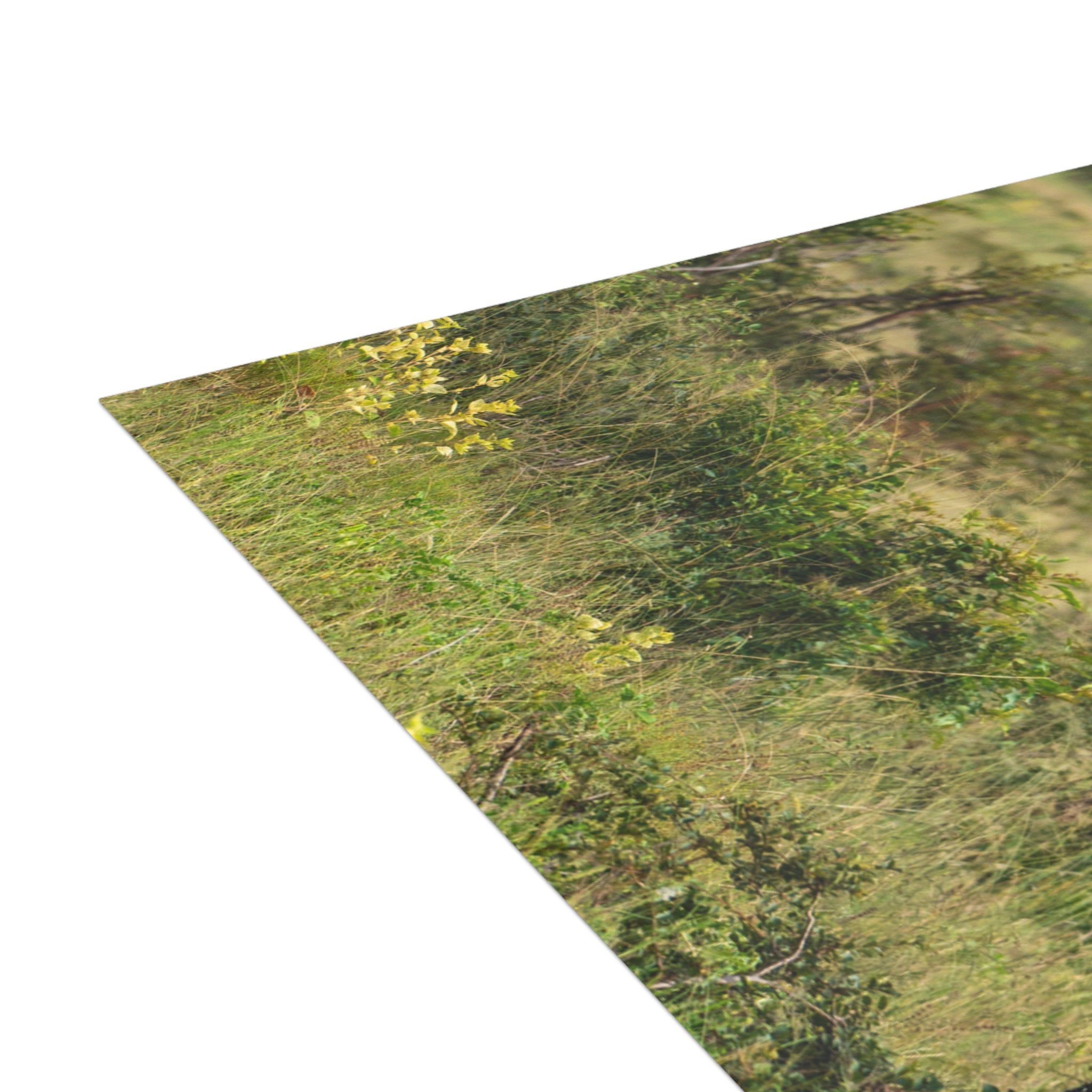 Jabulani Postcards (with envelopes) 10's