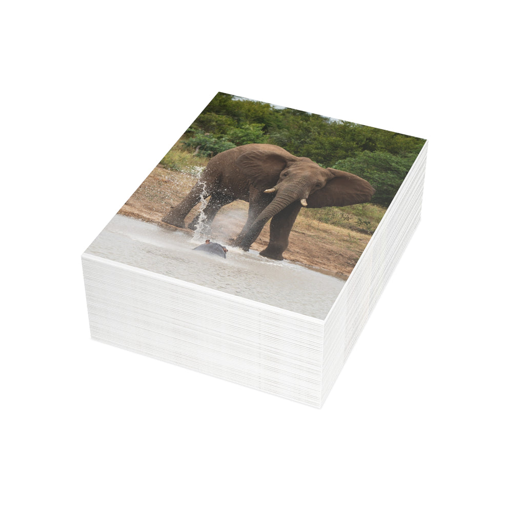 Fishan Postcards (with envelopes) 10's