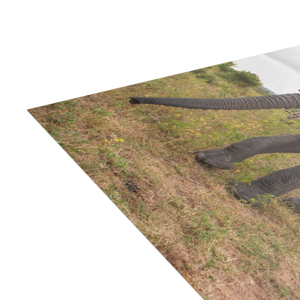 Mambo Postcards (with envelopes) 10's