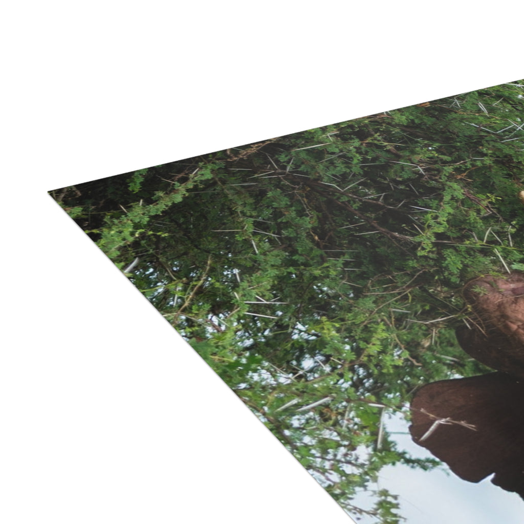 Khanyisa Postcards (with envelopes) 10's