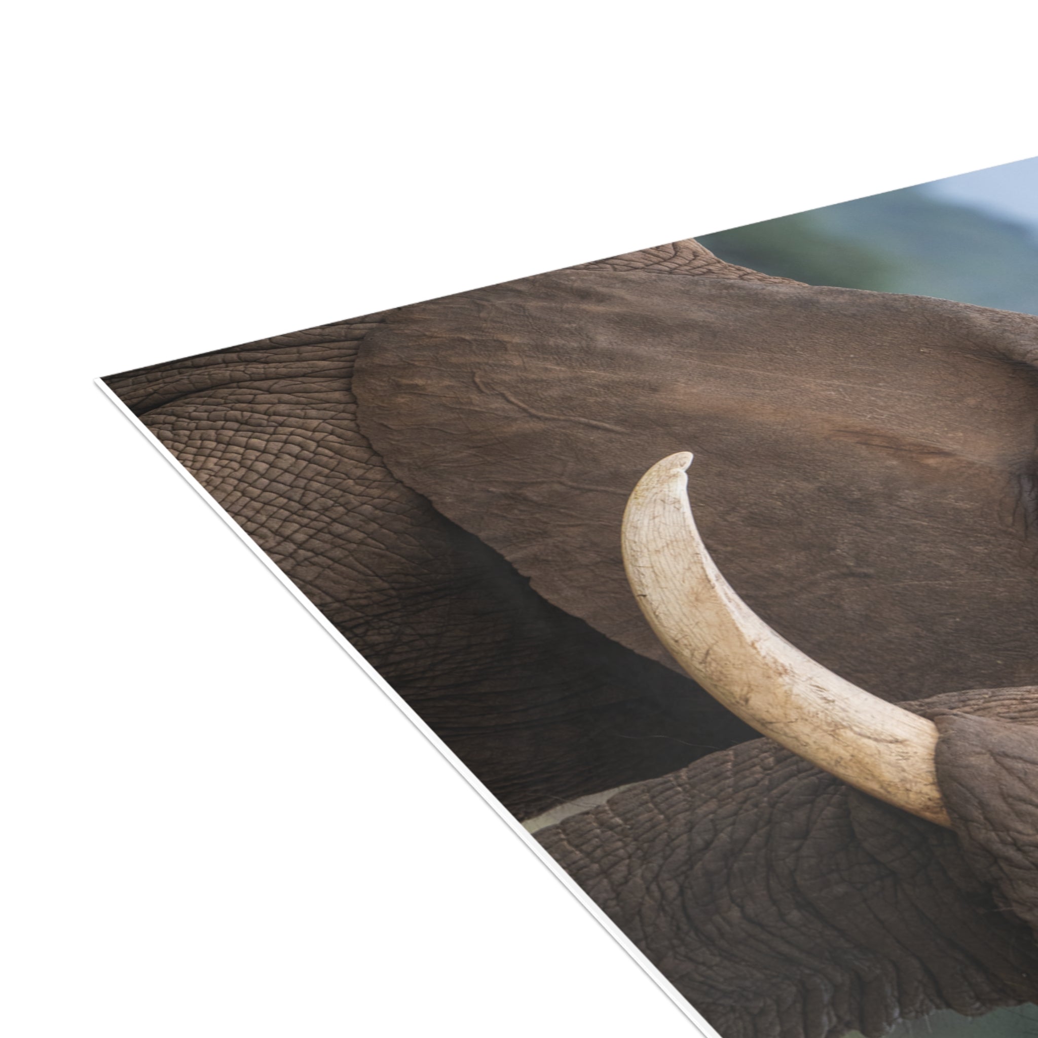 Sebakwe & Setombe Postcards (with envelopes) 10's