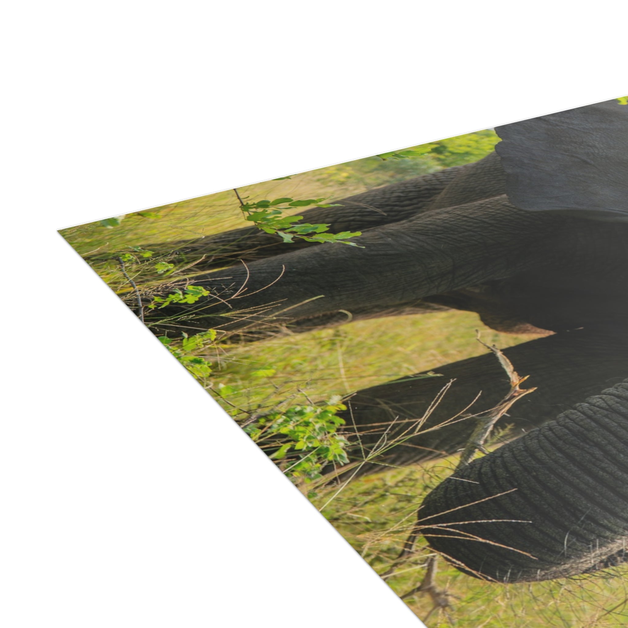 Bubi Postcards (with envelopes) 10's