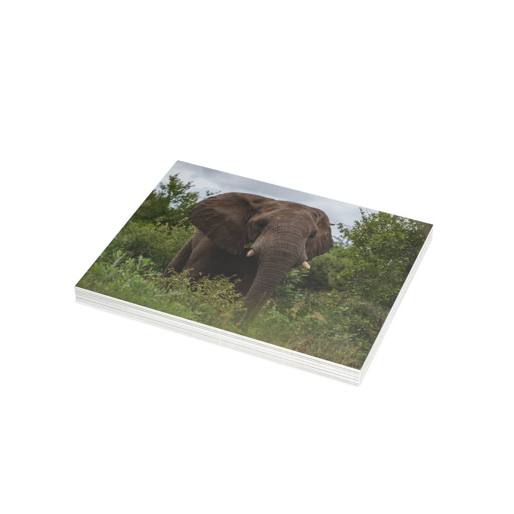 Zindoga Postcards (with envelopes) 10's