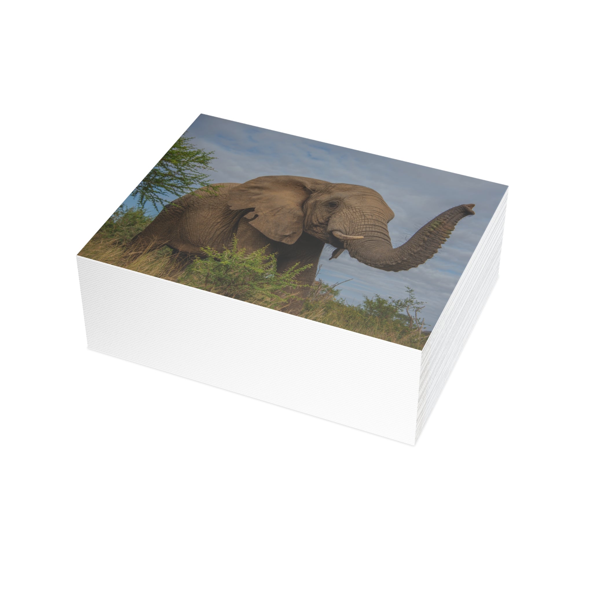 Lundi Postcards (with envelopes) 10's