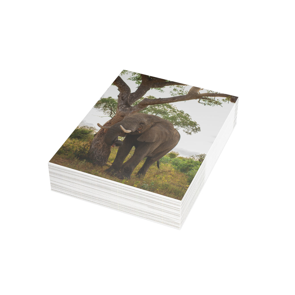 Somopane Postcards (with envelopes) 10's