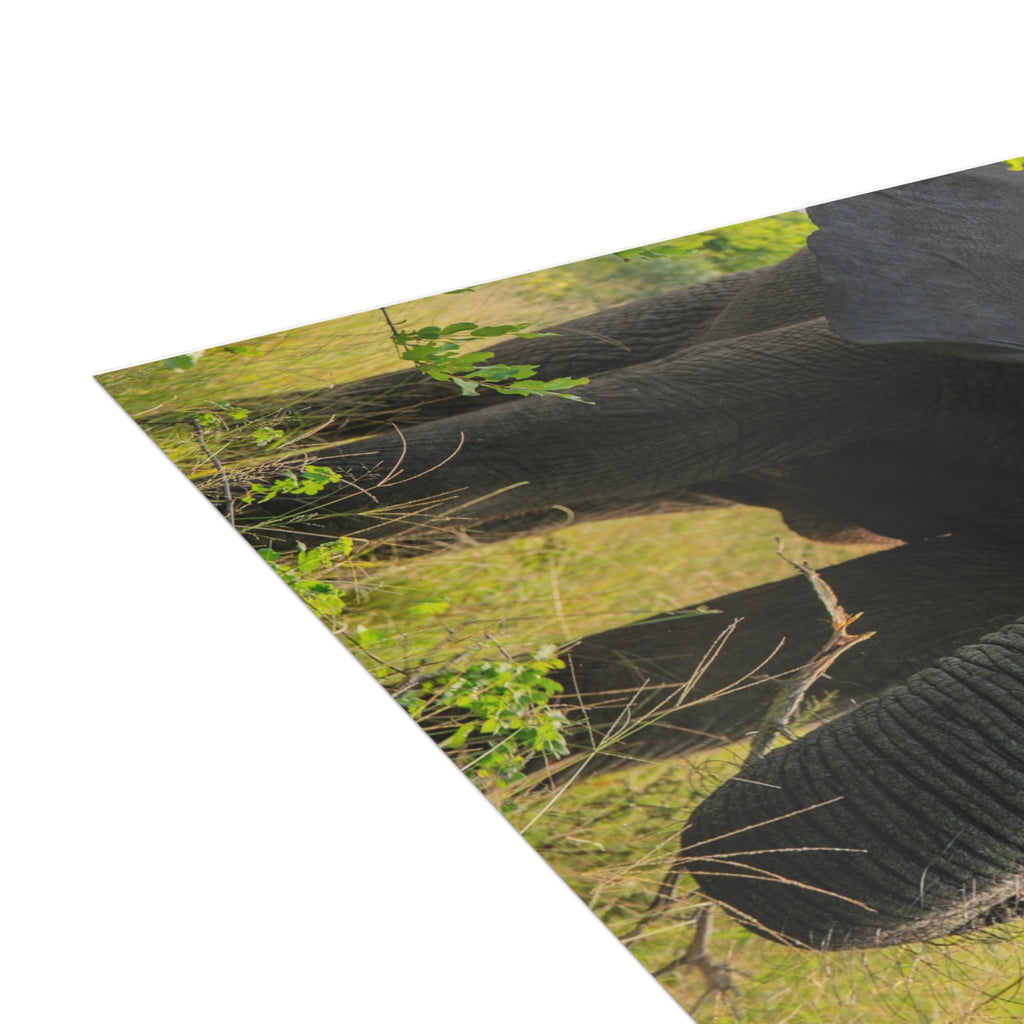 Bubi Postcards (with envelopes) 10's