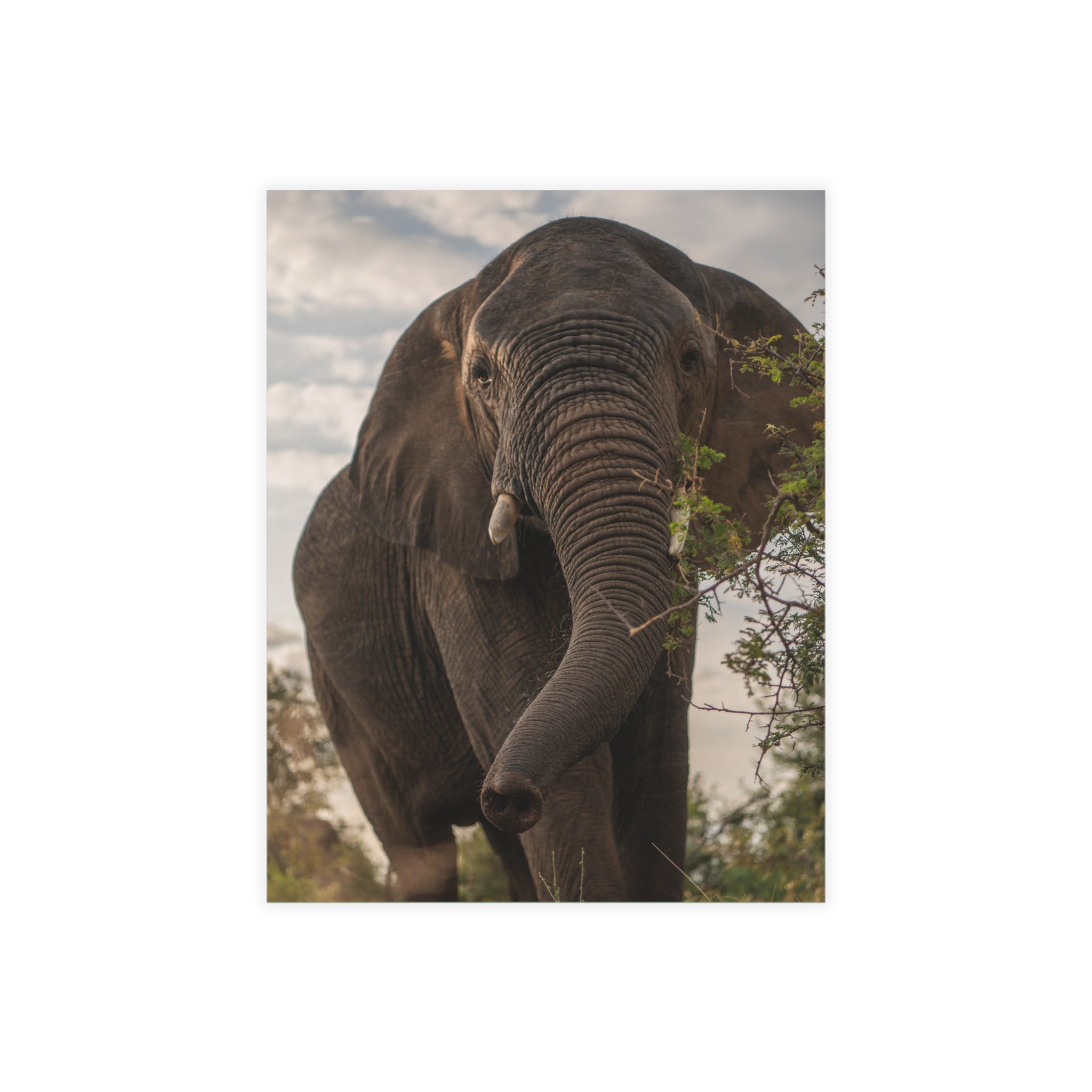 Kumbura Postcards (with envelopes) 10's