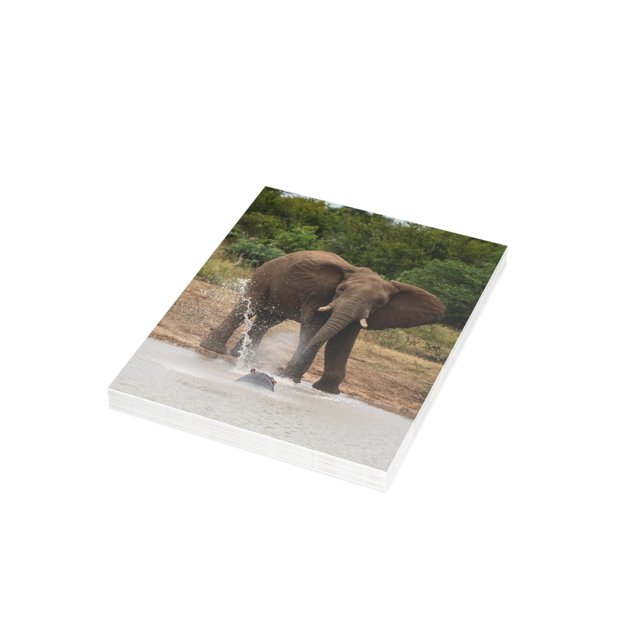 Fishan Postcards (with envelopes) 10's