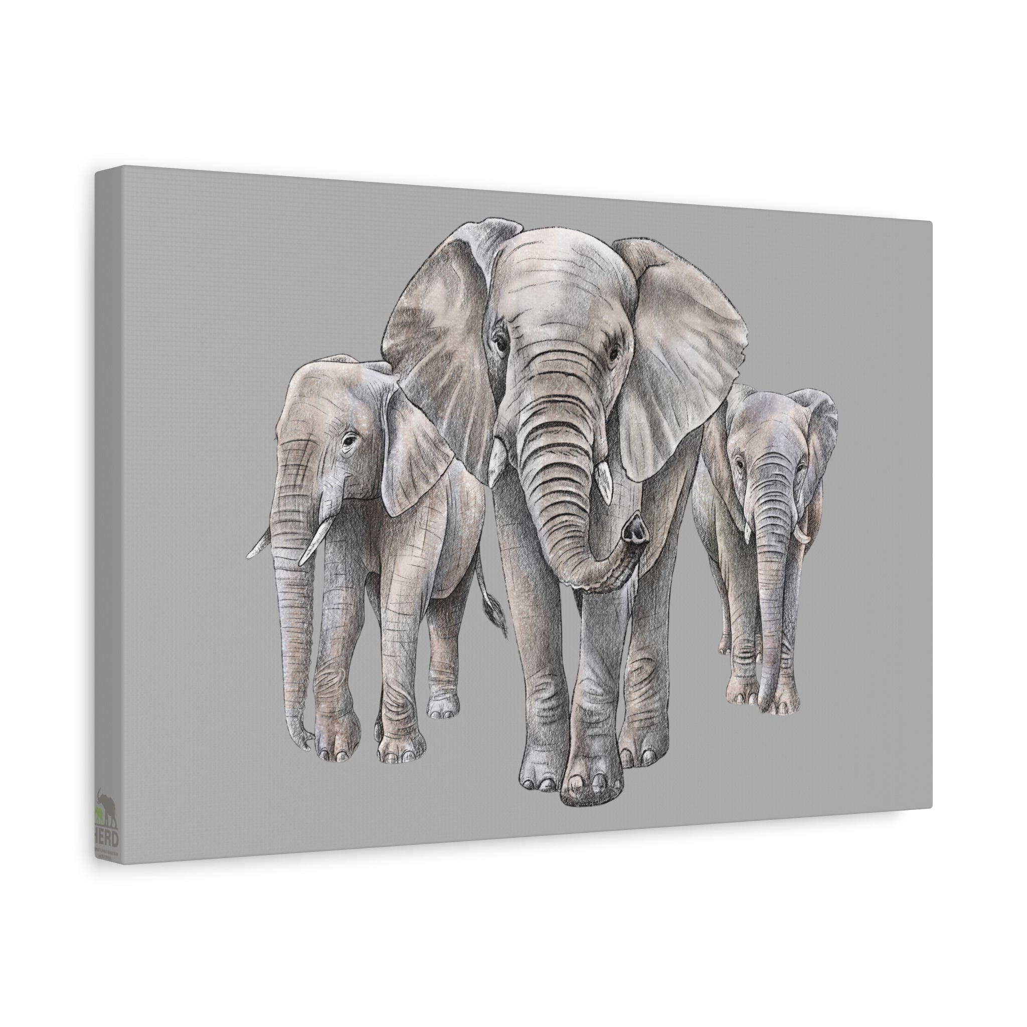 Lundi, Jabulani and Setombe Canvas