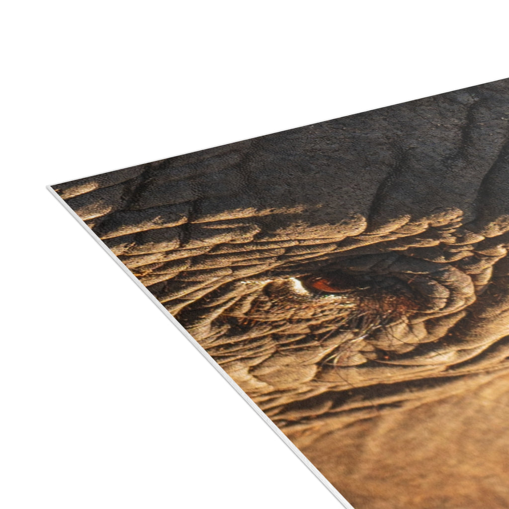 Klaserie Postcards (with envelopes) 10's