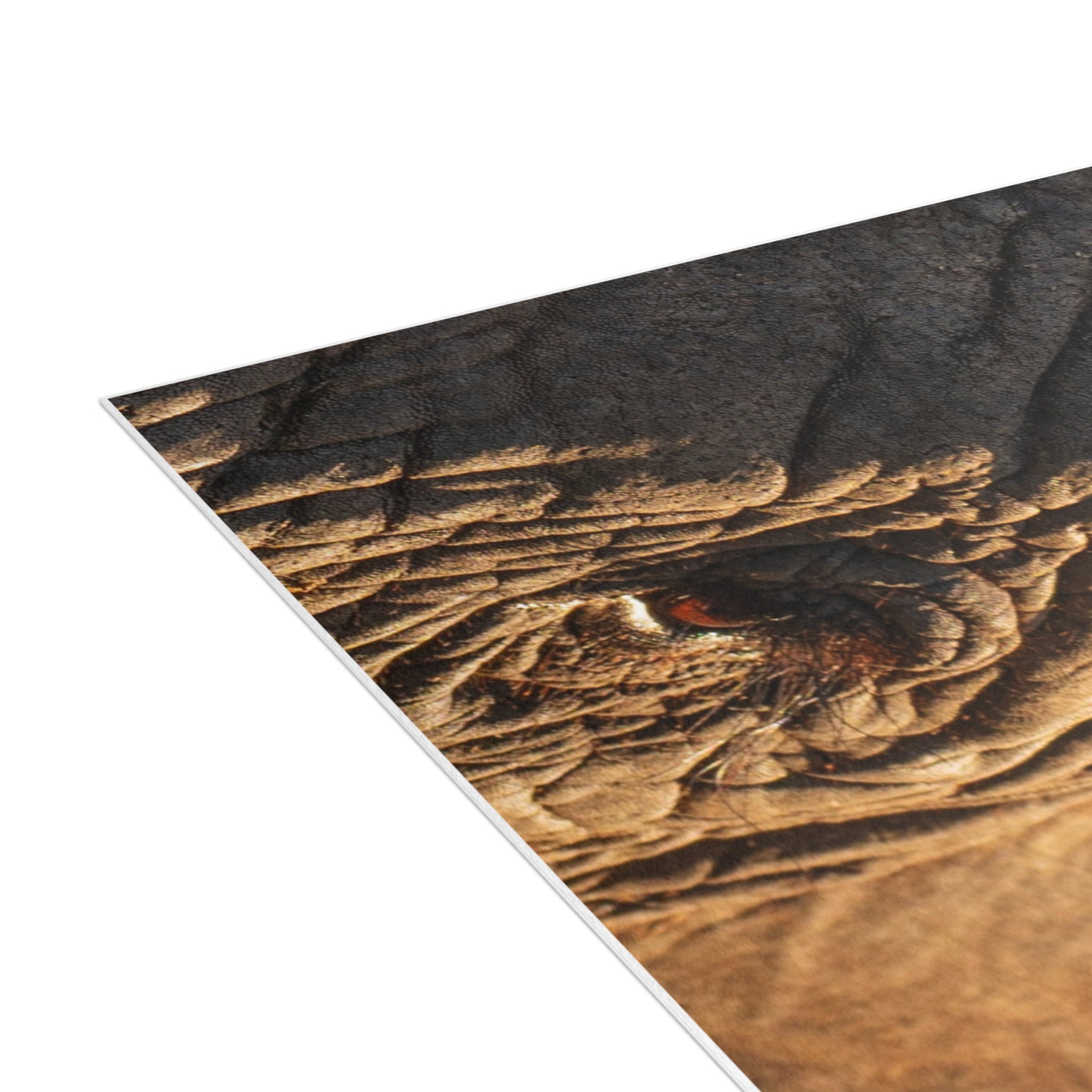 Klaserie Postcards (with envelopes) 10's