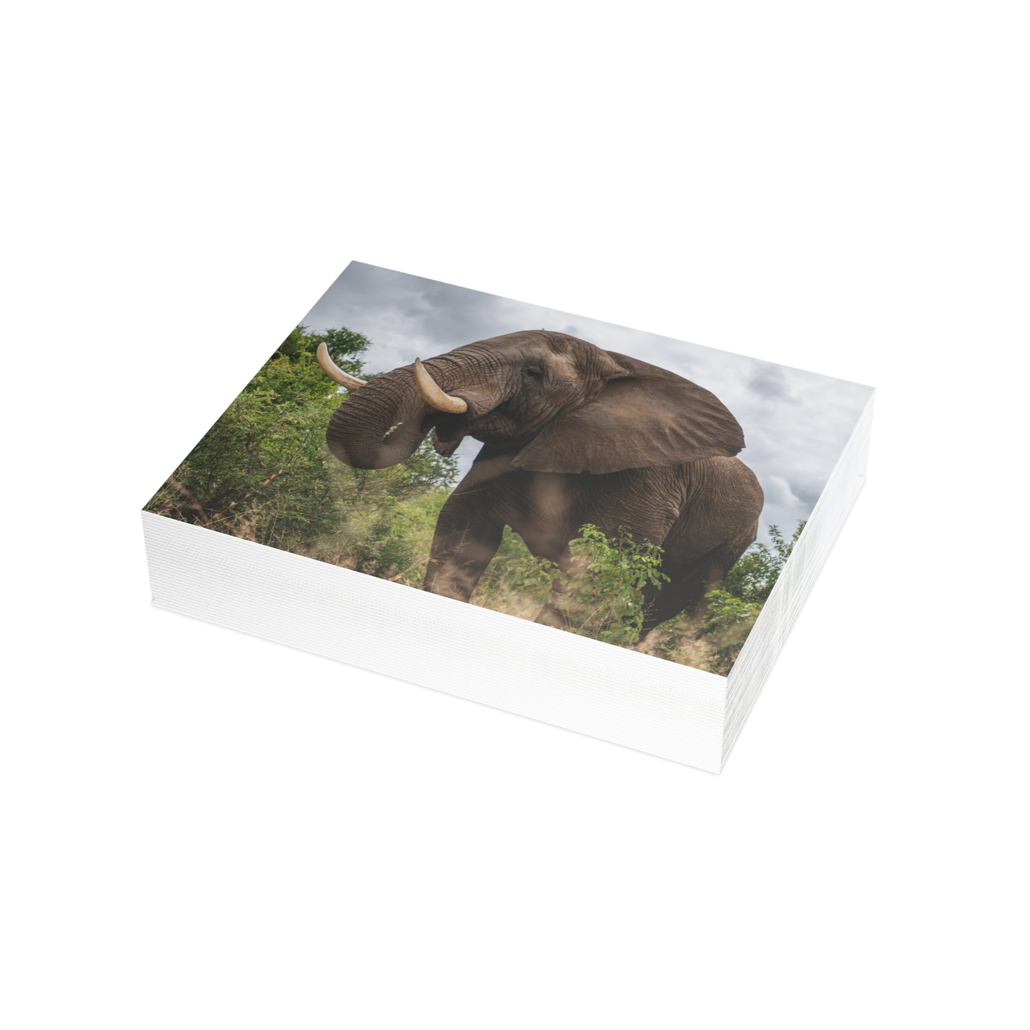Sebakwe Postcards (with envelopes) 10's