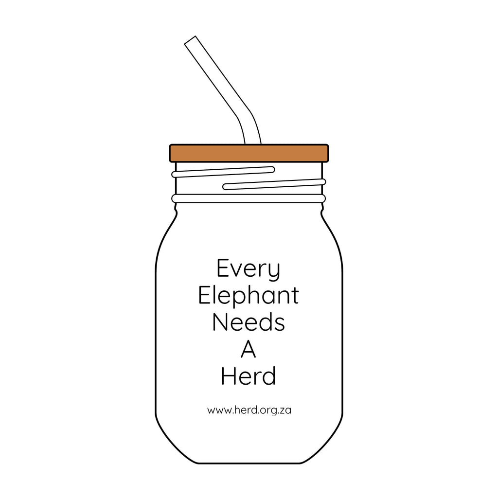 HERD Mason Sipper Glass | 16oz