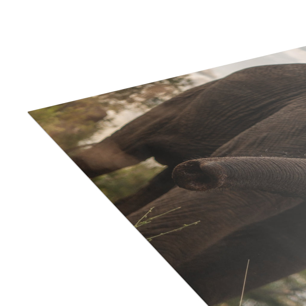 Kumbura Postcards (with envelopes) 10's