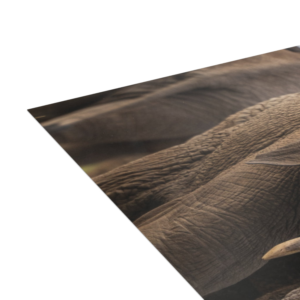 Timisa Postcards (with envelopes) 10's