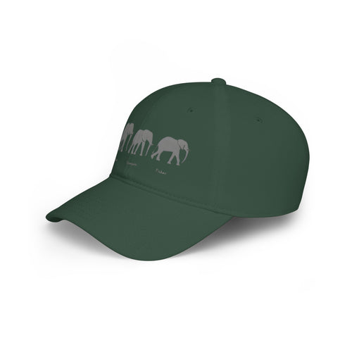 Fatherhood Low Profile Baseball Cap