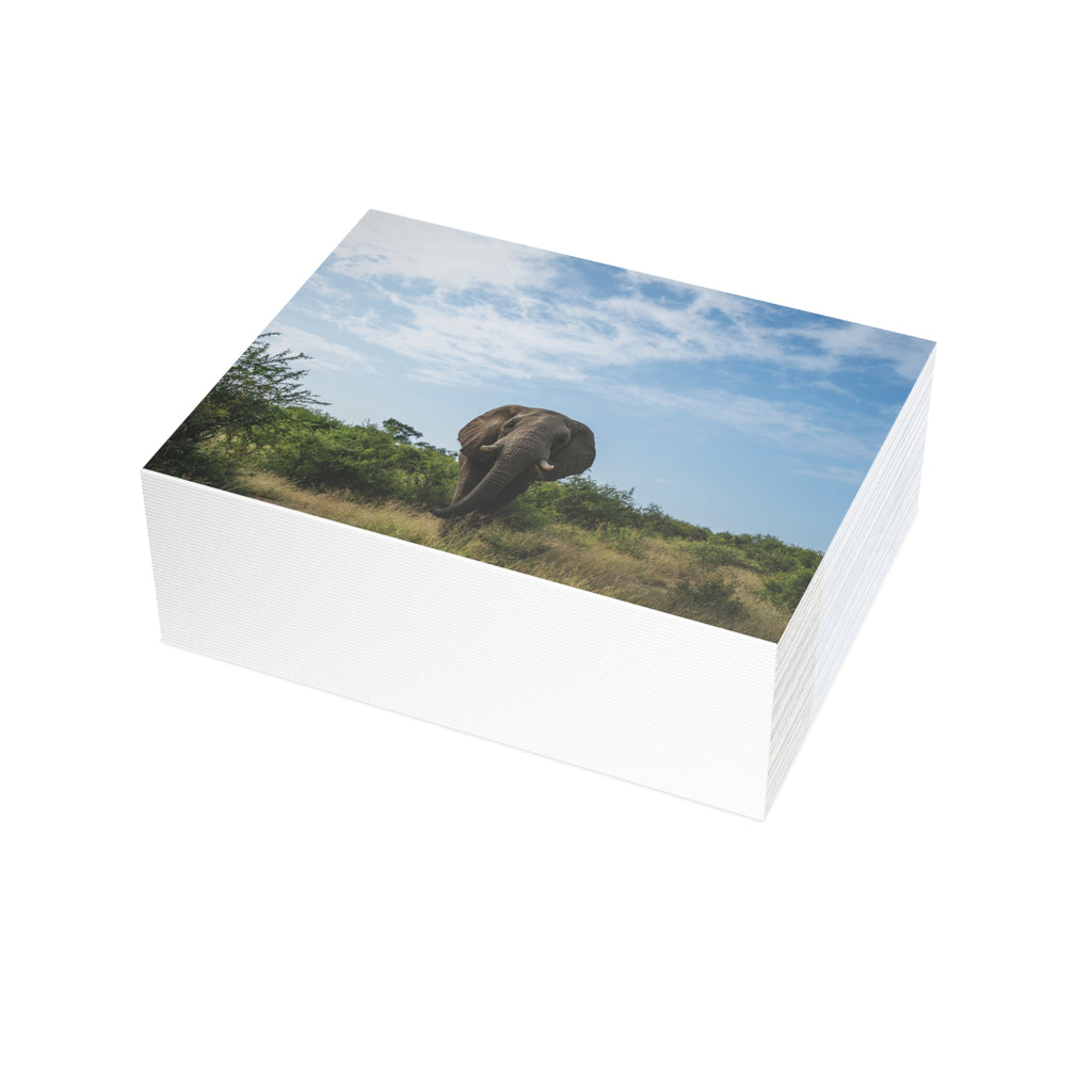 Fishan Postcards (with envelopes) 10's