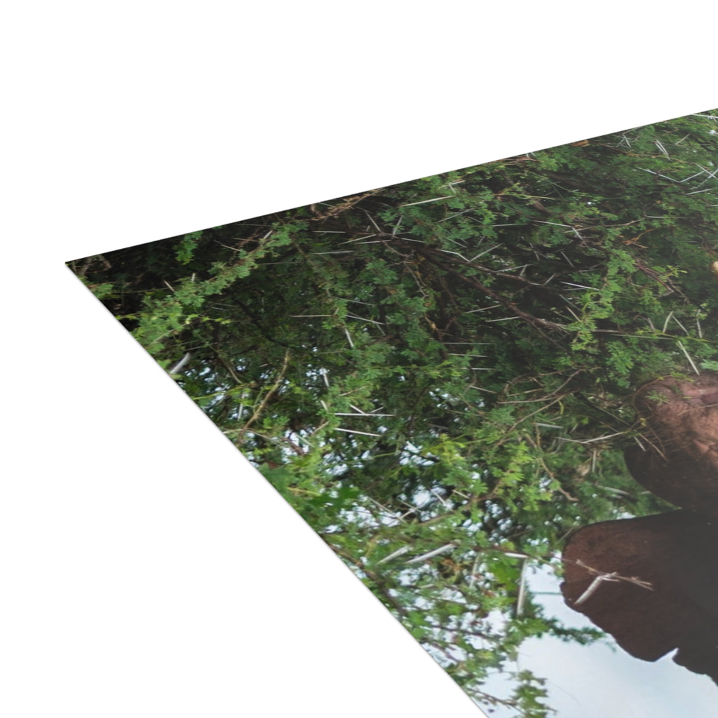 Khanyisa Postcards (with envelopes) 10's